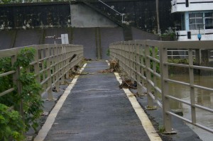 typhoon bridge