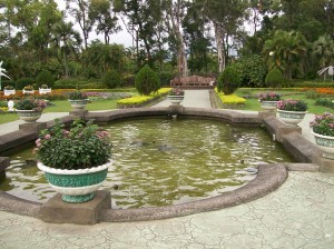 gardens 61