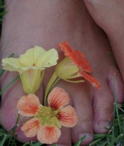 In the Bare Foot Garden with nasturtiums in the toes