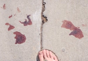 Blood on sidewalk near Iowa and Lois in Nampa, Idaho