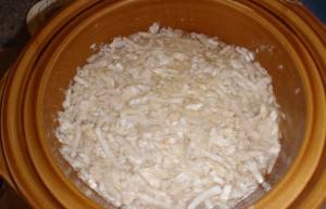 sauerkraut aged three weeks in crock pot