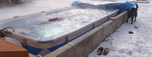 swimming outside in heated backyard pool with Fastlane current generator during the winter