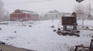 full winter in my southwest Idaho backyard
