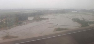 what rice paddies look like at 150 mph