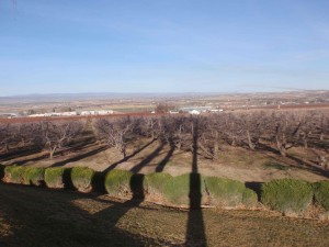 Looking out over the Snake River plain from Ste. Chapelle winery's park area, the opposite way from the race course