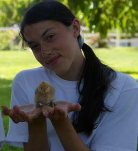 chicks that are held frequently are easier to take care of when they are older, too