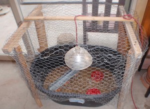 a wire cover keeps the chicks safe and the house chicken free