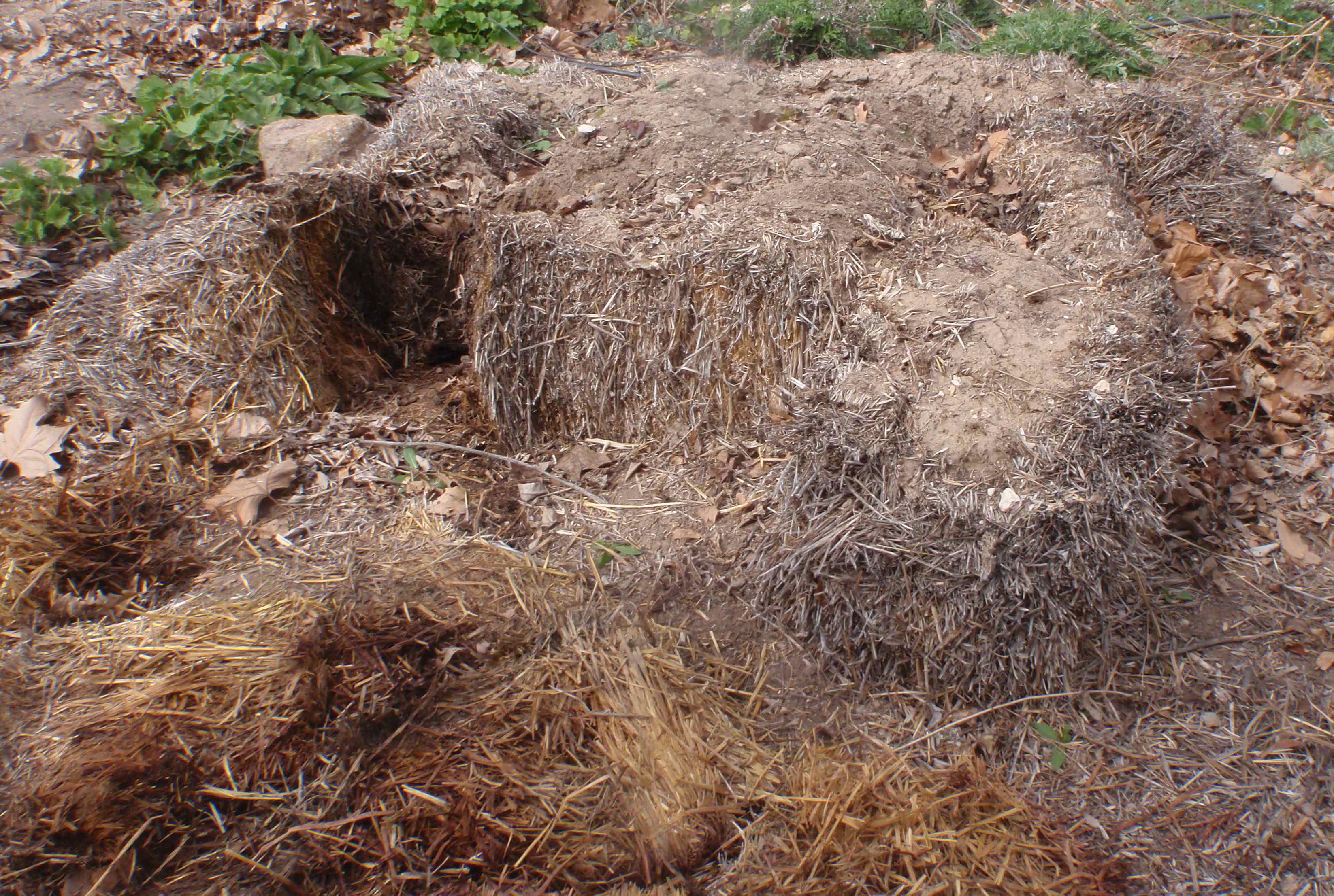 How Well Does A Straw Bale Garden Decompose In The Arid Desert Of