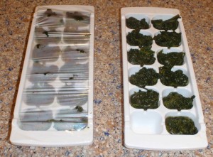 ice cube trays filled with cooked spinach being saved for easy servings