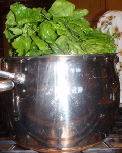 stuffing spinach in the pot to maximum capacity