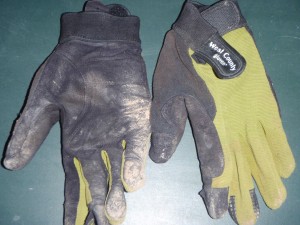 a pair of garden gloves that I had been wearing recently on my bike rides