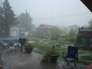 The most spectacular late summer hail storm in my recollection for Nampa, Idaho, did a lot of damage to my garden.