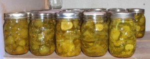 I have been allowed to add 7 pints of bread and butter pickles to my pantry so far this year.