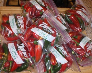 Jalapenos in zip lock bags ready for the freezer. (yes, I noticed the spelling on the bag too late)