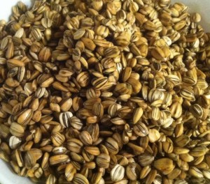 This is what the sunflower seeds looked like after the soak, but before the roast.