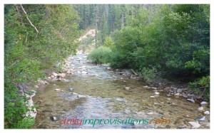 The side stream of the Payette River near GrandJean where we got our washing water.