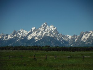The Grand Tetons from the "lower" outlying areas of approximately 6000 feet above sea level.