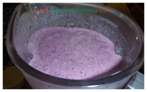 First, it is frozen blueberry smoothie, and you can just serve and eat it all right now, if you want to.