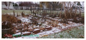 This is what a major section of my garden looks like right now. The ground may be frozen, but I may yet be able to clean up some of the debris before spring planting.