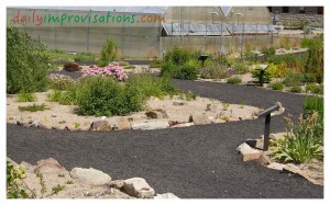If there is a "Botanical Garden" open to the public in your area, it can be a good place to get ideas for how to manage plants in your specific environment. This photo is of a desert-like planting at the Idaho Botanical Gardens in June.