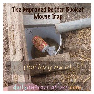 The better bucket mouse trap opened to see inside.