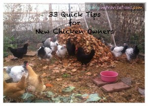 33 quick chicken tips