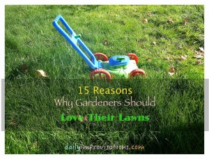 15 Reasons Gardeners Should Love Their Lawns