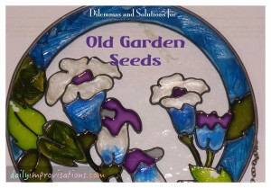 dilemmas and solutions for old garden seed