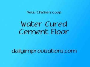water cured cement floor