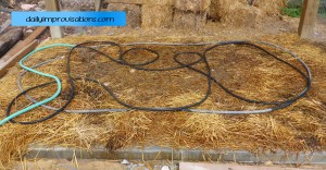 wet cement under straw with a soaker hose to water cure it