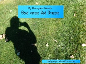 grasses good versus bad