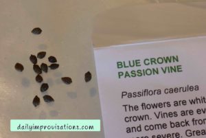passion-vine-seed-packet