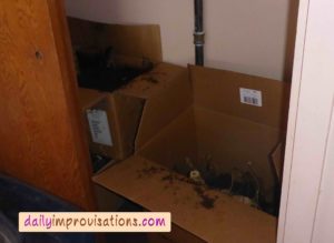 I filled a total of 2 and a half boxes, then put them in a closet next to a house wall. To read more on this, check out the blog I wrote for D&B Supply!