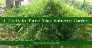 4 Tricks to Tame Your Autumn Garden