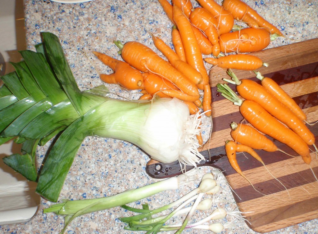 cleaned up leek, carrots, and baby garlic from the fall garden