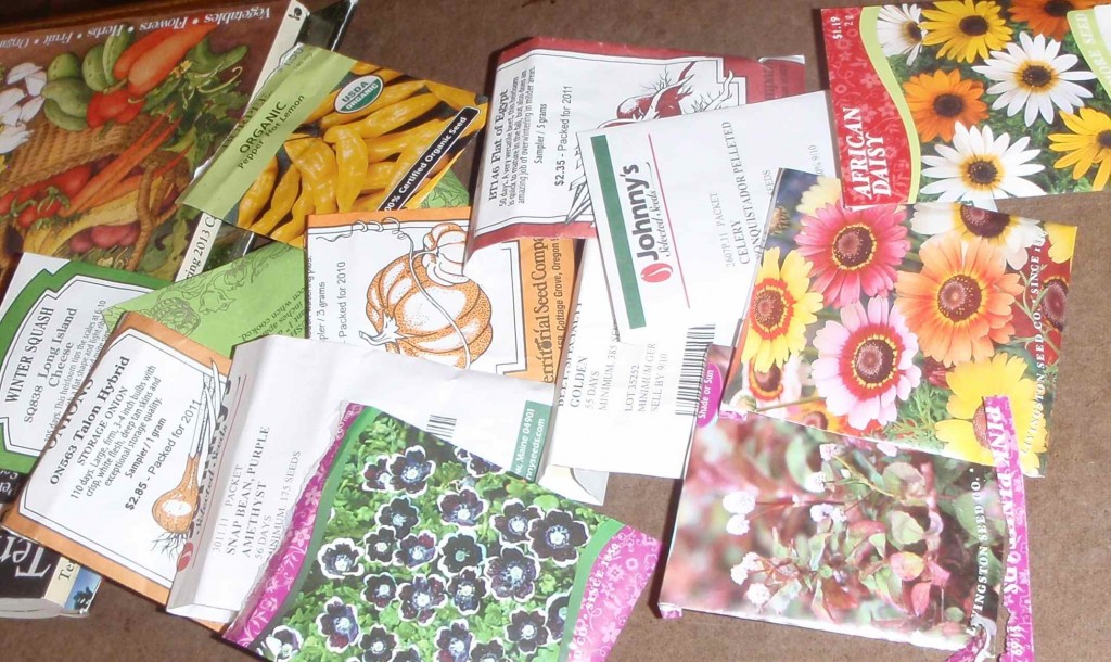 packets of older seeds to test for viability