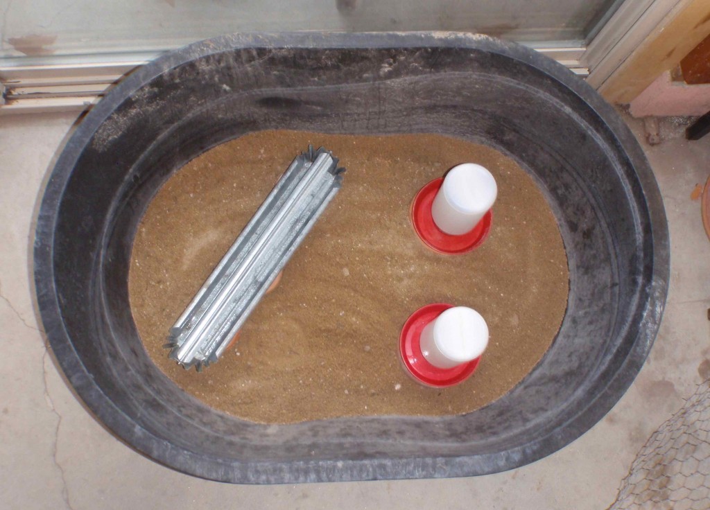 using a rubber watering trough for a baby chicken nursery